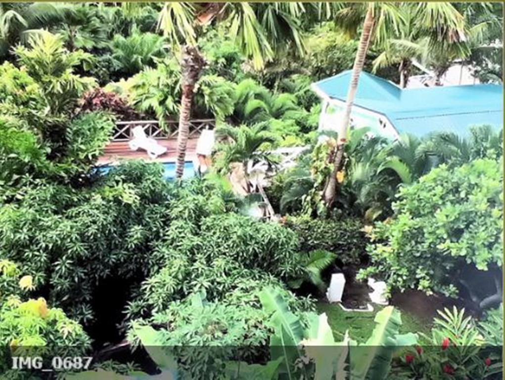 Apartment Espoir Castries Eksteriør billede