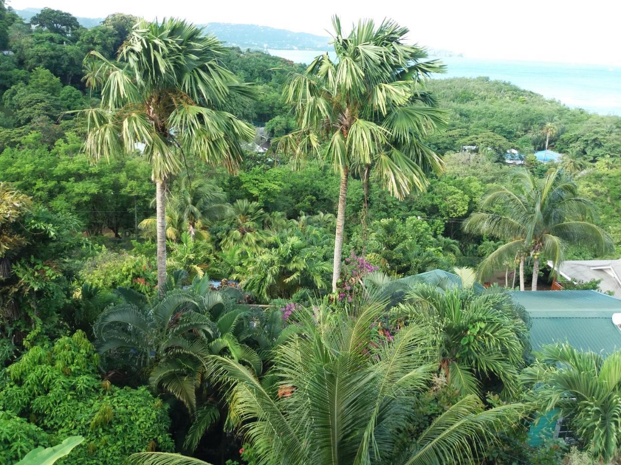 Apartment Espoir Castries Eksteriør billede